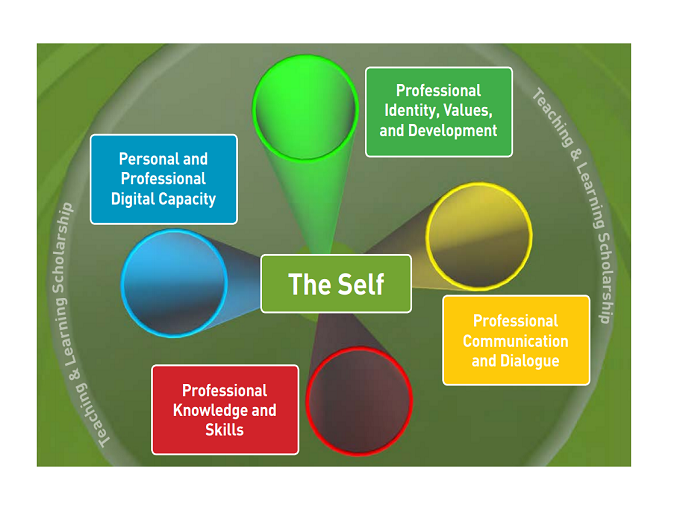 Professional Development Framework
